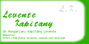 levente kapitany business card